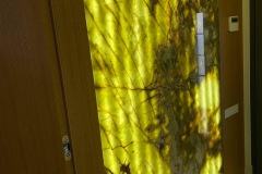 IMG_6423